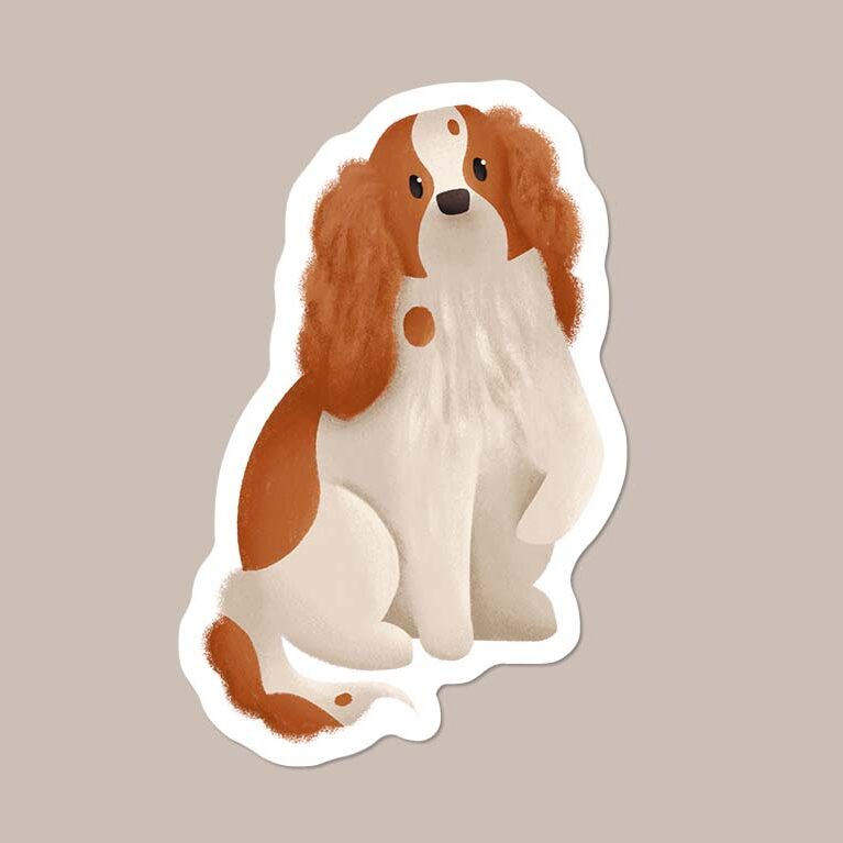 Cavalier King Charles Spaniel sticker - Woof by Hollie