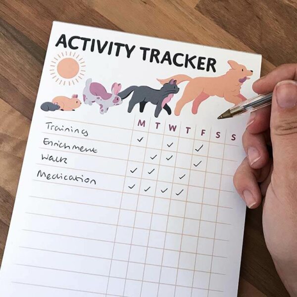 Pet activity tracker