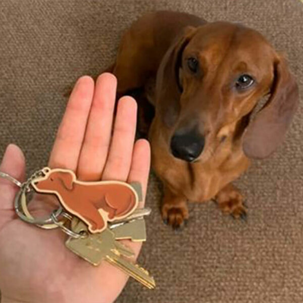 Dachshund with a matching keyring