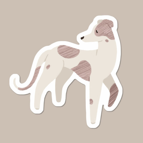 Greyhound Lurcher Sighthound
