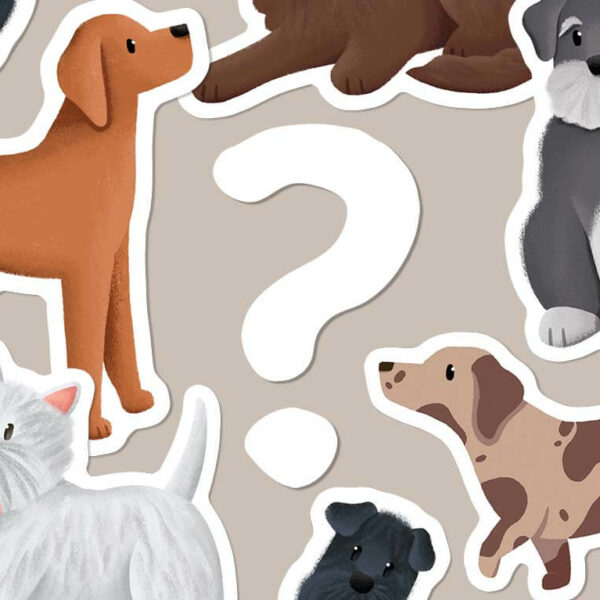 Mystery dog sticker pack