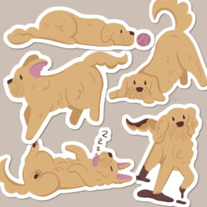 Cockapoo / Cavapoo / Doodle Vinyl Dog Sticker Pack of 5