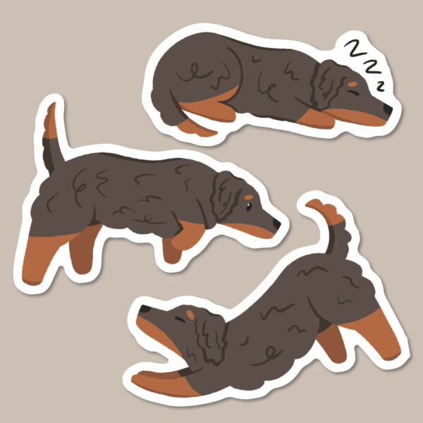 Black and red long haired Dachshund stickers
