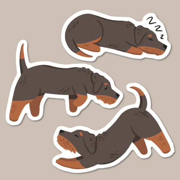 Black and red wire haired Dachshund stickers