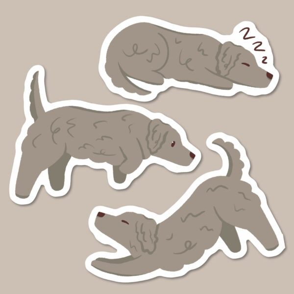 Blue long haired Dachshund stickers