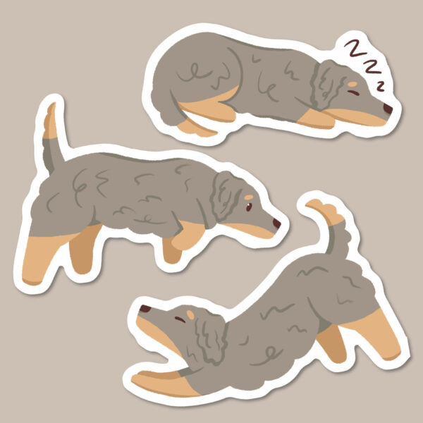 Blue and cream long haired Dachshund stickers
