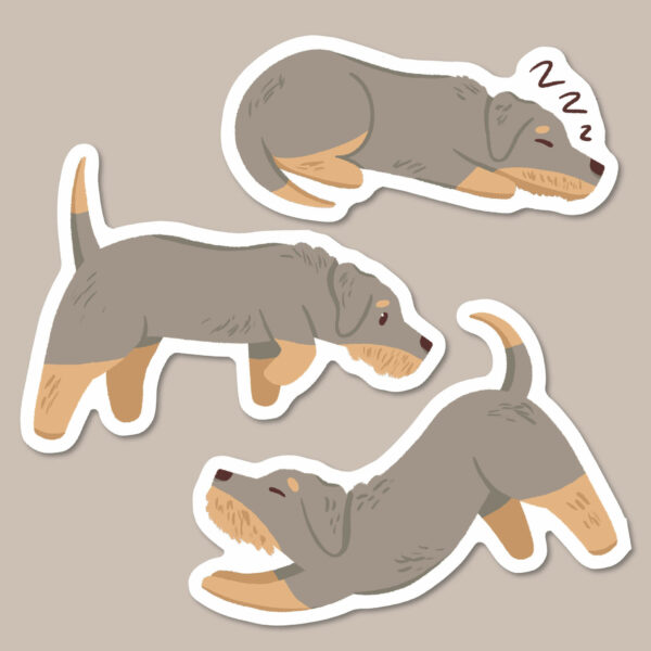 Blue and cream wire haired Dachshund stickers