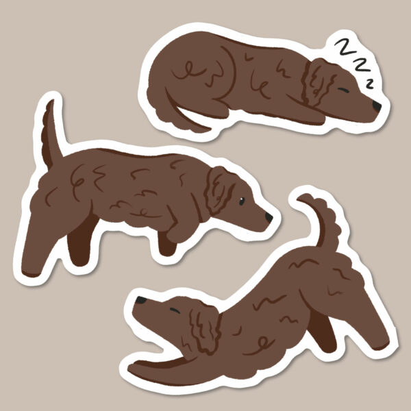 Brown long haired Dachshund stickers