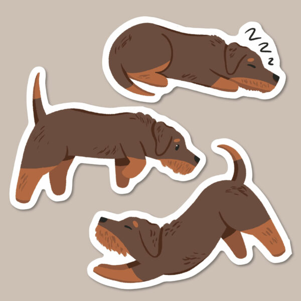 Brown and red wire haired Dachshund stickers