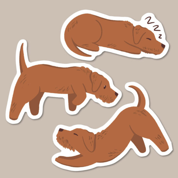 Red wire haired Dachshund stickers