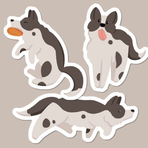 Black and white Border Collie stickers
