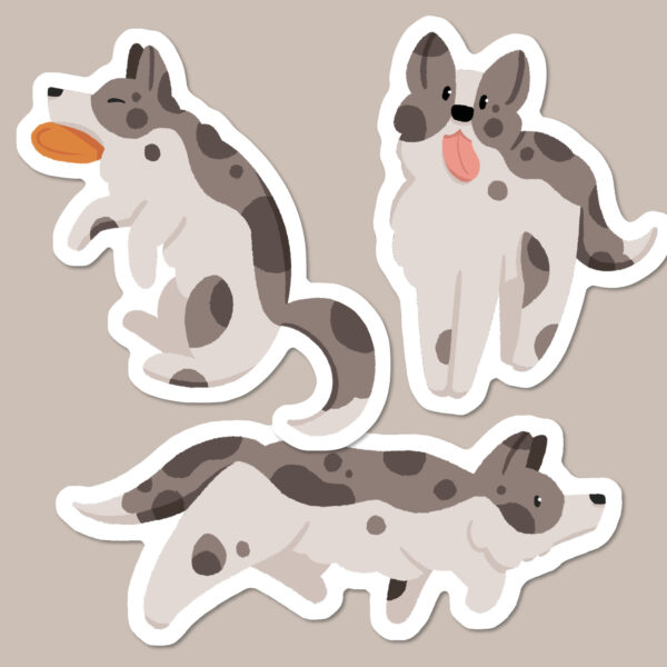 Black merle and white Border Collie stickers