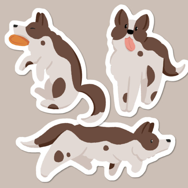 Brown and white Border Collie stickers