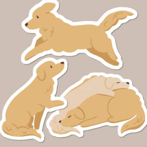 Golden Retriever Dog Vinyl Sticker Pack of 3