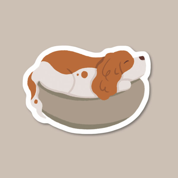 Red and white Cavalier King Charles Spaniel sticker