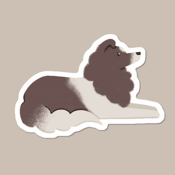 Black Shetland Sheepdog sticker