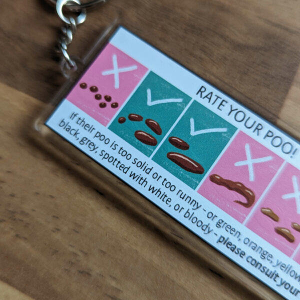 Rate Your Poo chart keyring