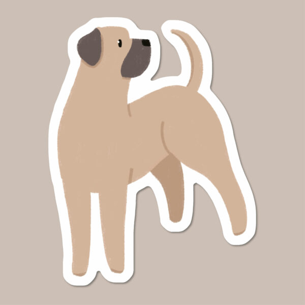 Cane Corso / Mastiff sticker