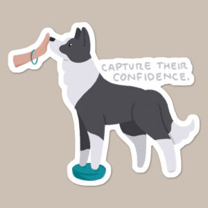 Capture Their Confidence Vinyl Dog Sticker