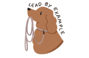 Lead by Example Cocker Spaniel